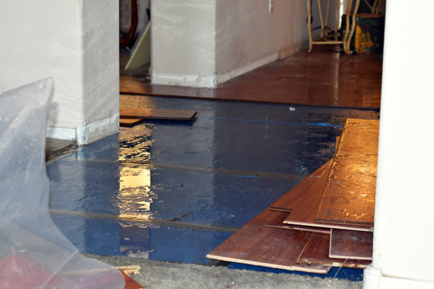 Professional Burst Pipe Cleanup technician working in Sunfield, MI